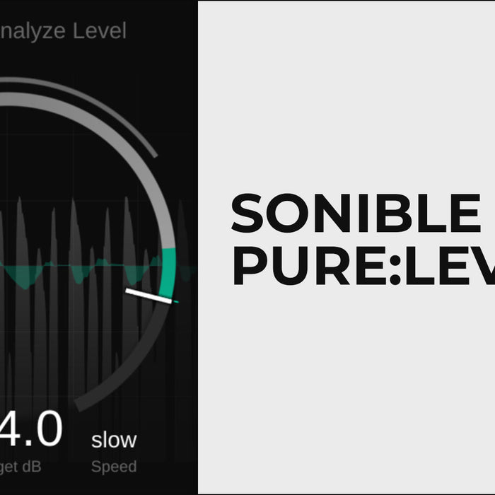 Do Your Levels Correctly - sonible pure:level